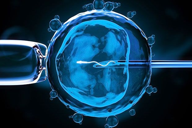 IVF & IUI Fertility Care in Chandigarh | Dr. Sabia Mangat