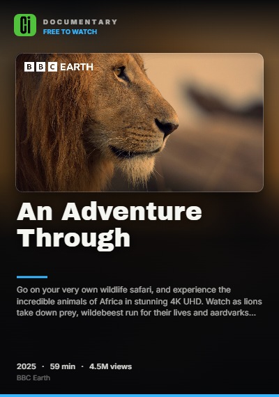 An Adventure Through