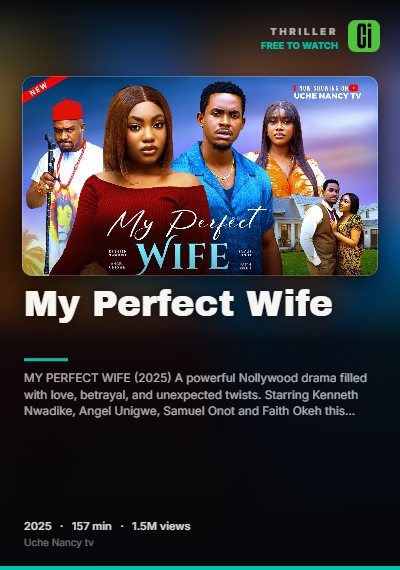 My Perfect Wife