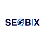 Seo Bix