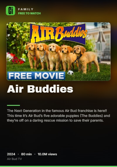 Air Buddies