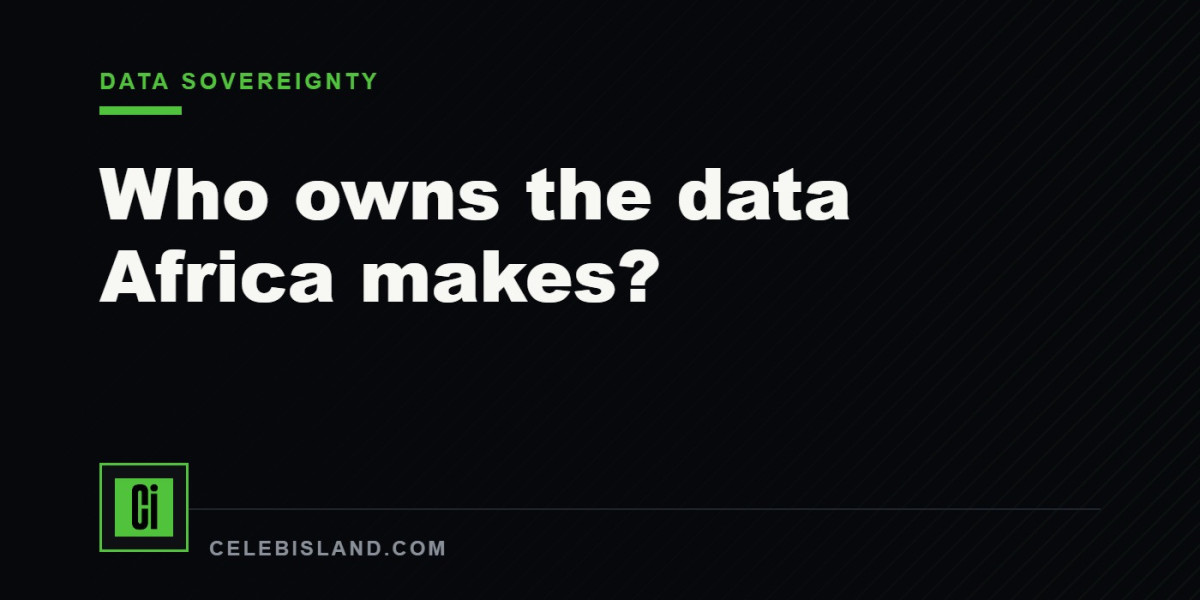 Who owns the data Africa makes?