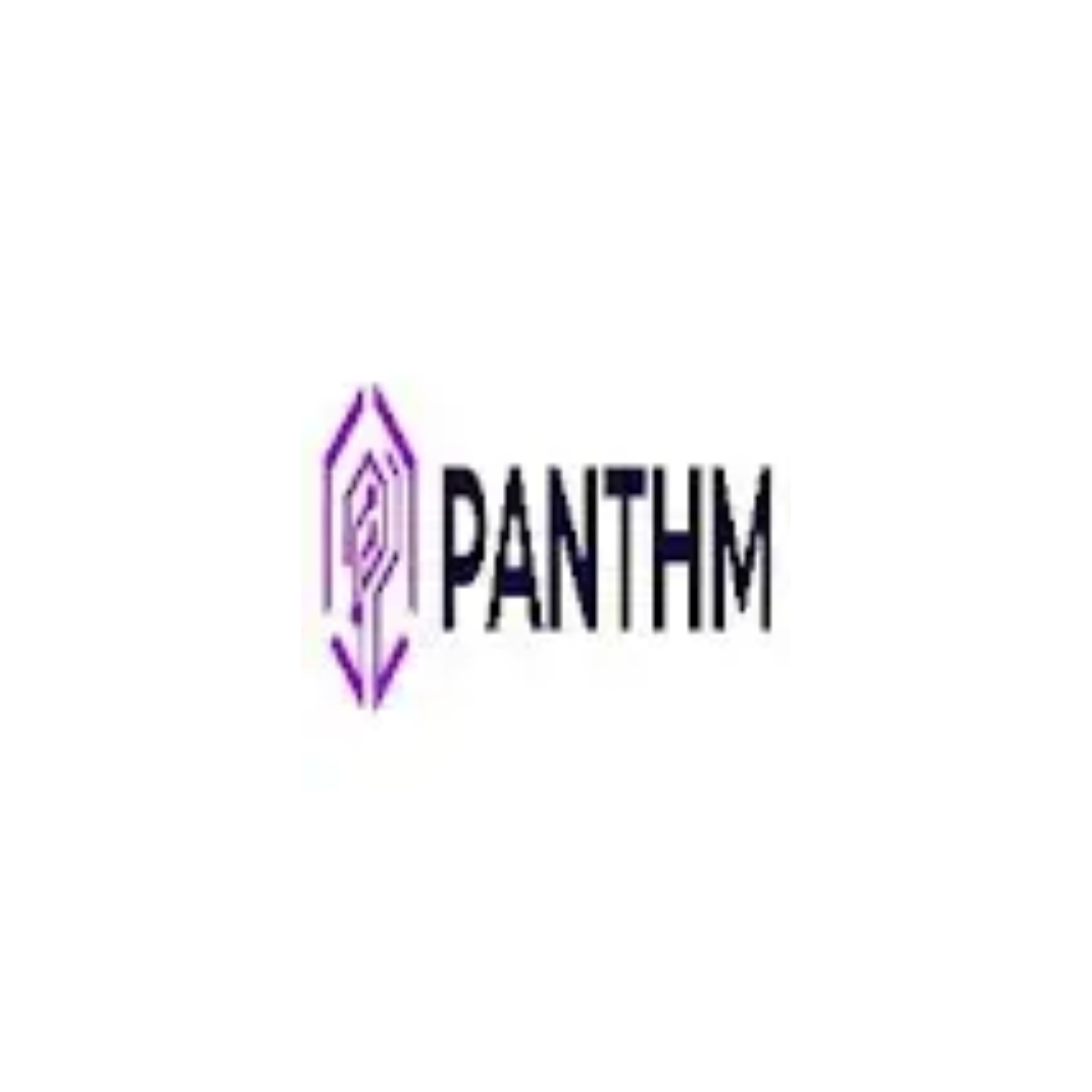 Panthm AI Labs