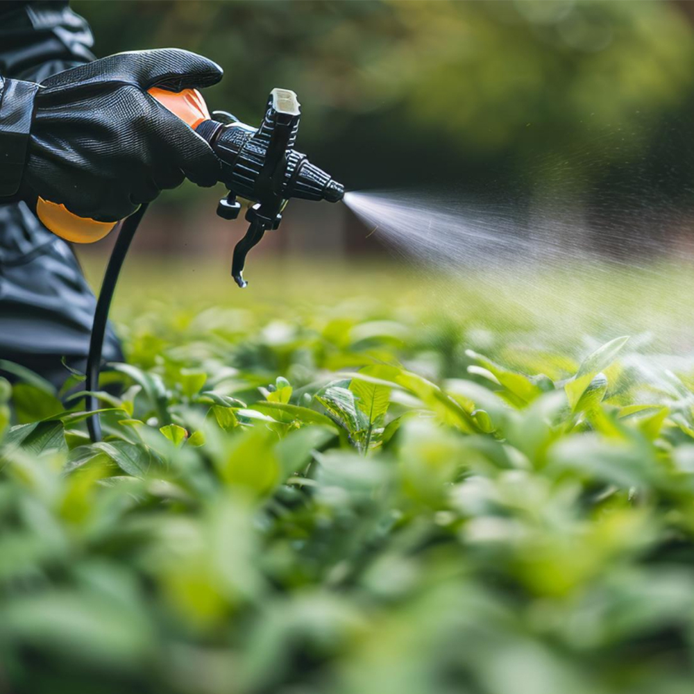 Weed Spray Services Bacchus Marsh