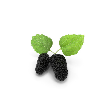 Mulberry Profile Picture