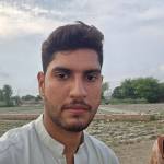 developer