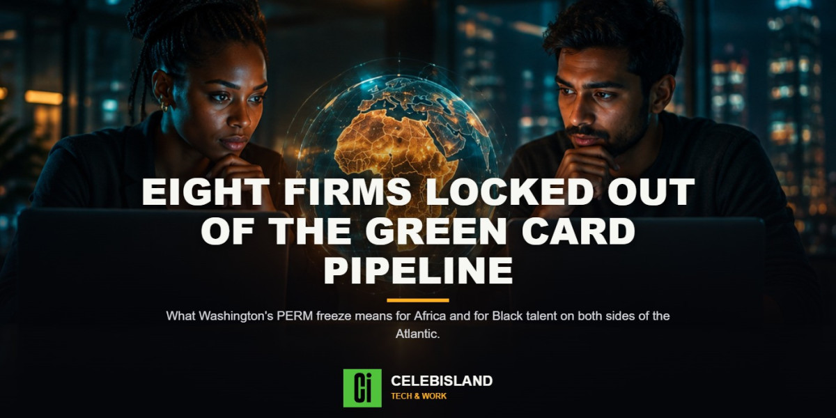US Suspends 8 Firms From Green Card Programme: What It Means For Africa