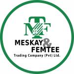 Meskay Femtee