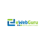 eWebGuru 9315